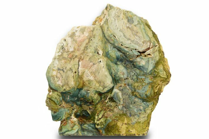 Free-Standing, Gary Green Jasper (Larsonite) Bog Wood - Oregon #334727